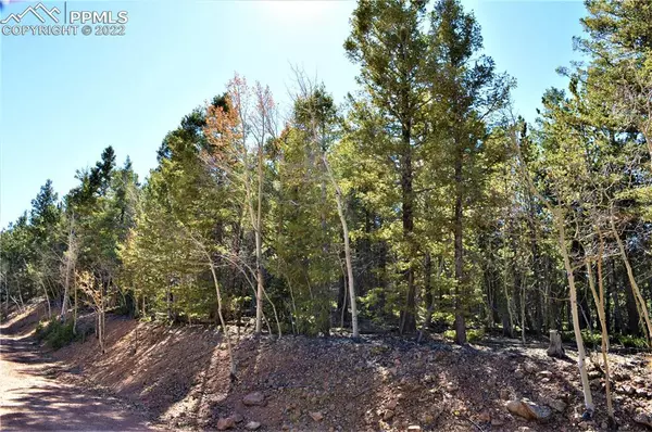 Divide, CO 80814,TBD Witherite DR