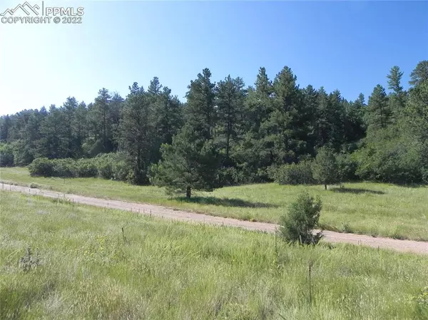 4742 Comanche DR, Larkspur, CO 80118