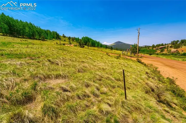 Cripple Creek, CO 80813,1192 Anges DR