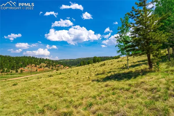 Cripple Creek, CO 80813,1192 Anges DR