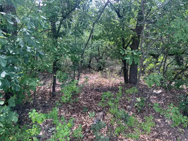 Runaway Bay, TX 76426,Lot 9 Hogan Place