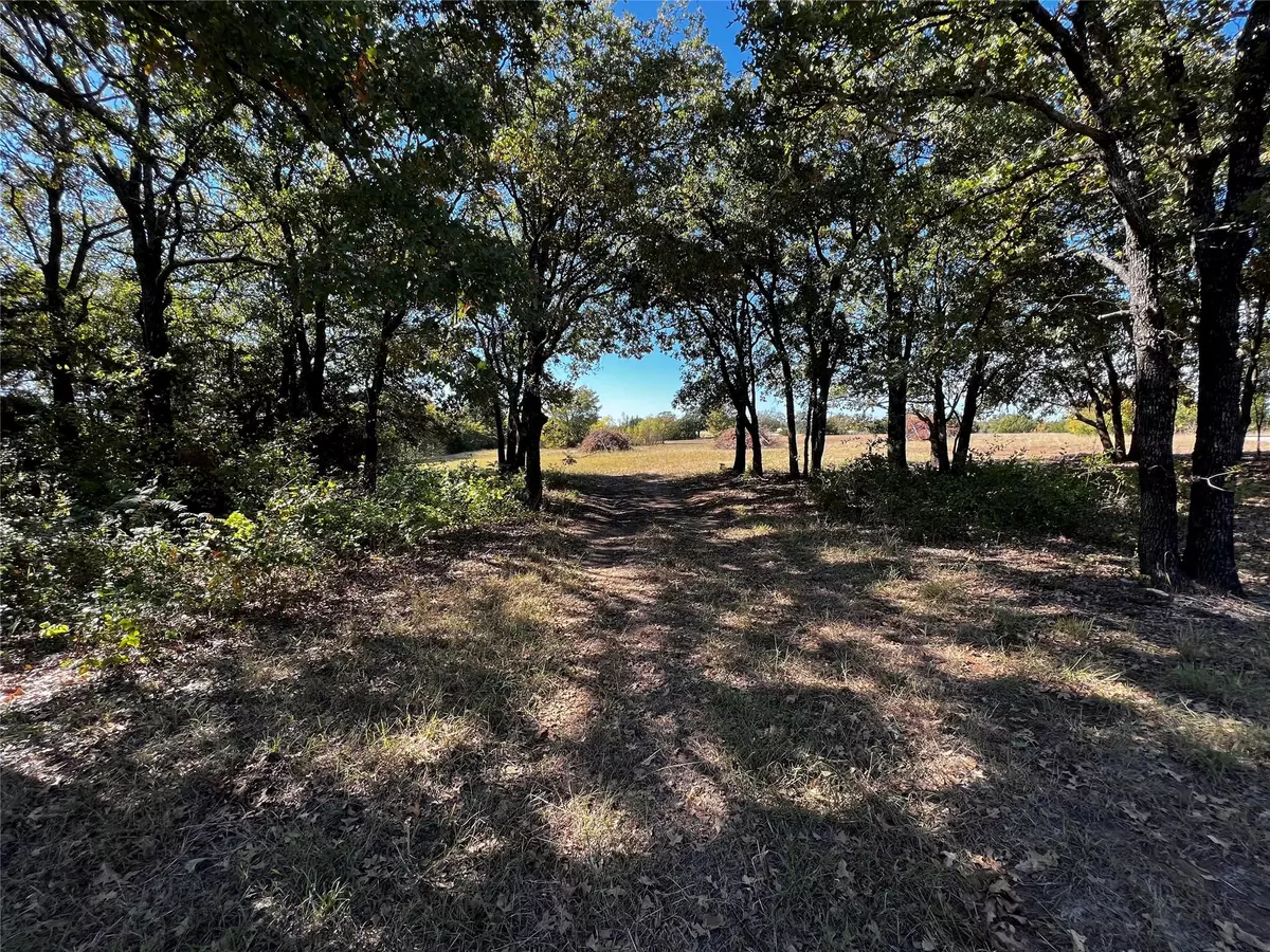 Whitesboro, TX 76273,41 Burrow Road