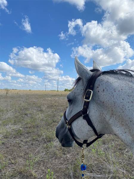 TBD County Road 112, Hamilton, TX 76531