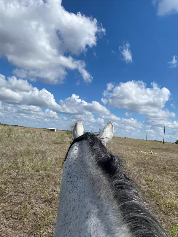 Hamilton, TX 76531,TBD County Road 112