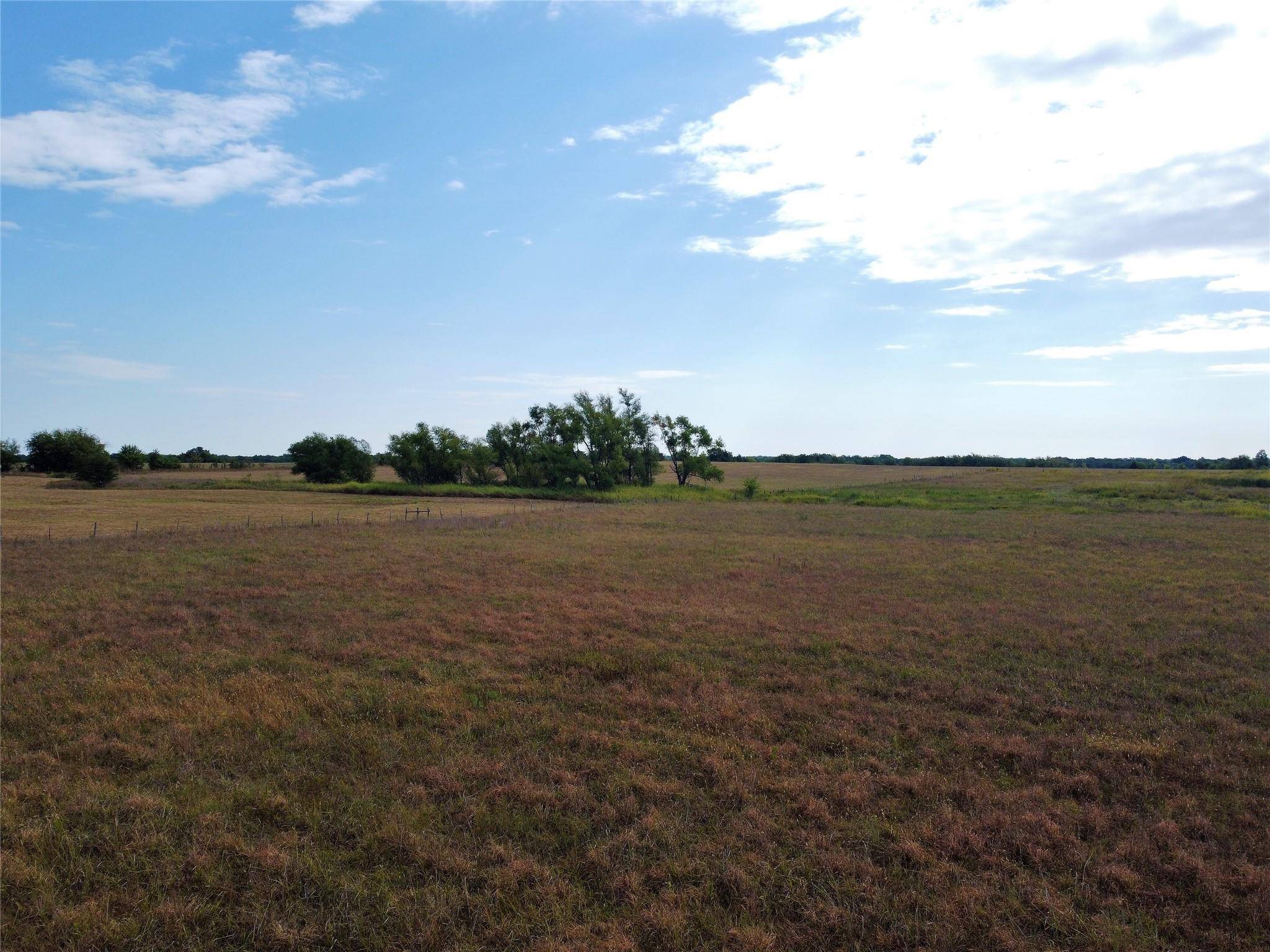 Commerce, TX 75428,Lot 1 FM 1563