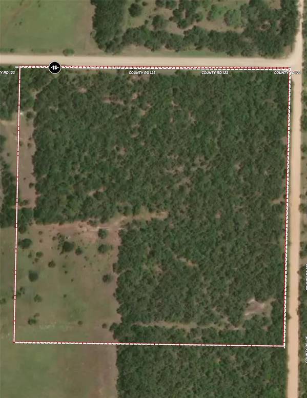 TBD County Road 123, Breckenridge, TX 76424