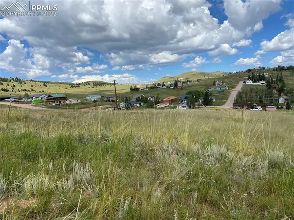 Cripple Creek, CO 80813,W Womack