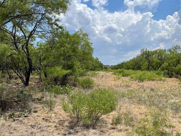 9 Acres Highway 6, Cisco, TX 76437