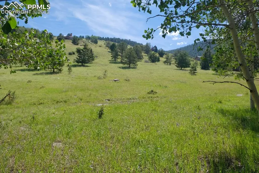 Lot 9 Unknown, Cripple Creek, CO 80813