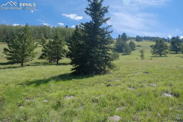 Cripple Creek, CO 80813,Lot 9 Unknown