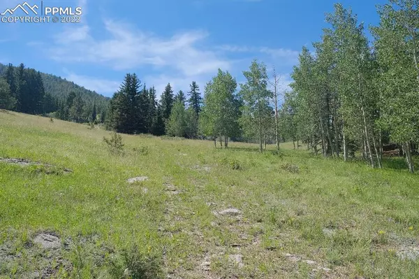 Cripple Creek, CO 80813,Lot 9 Unknown