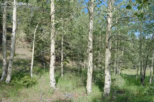 Cripple Creek, CO 80813,Lot 9 Unknown