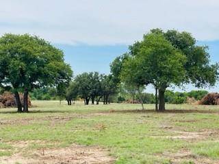 TBD CR 355, Blanket, TX 76432