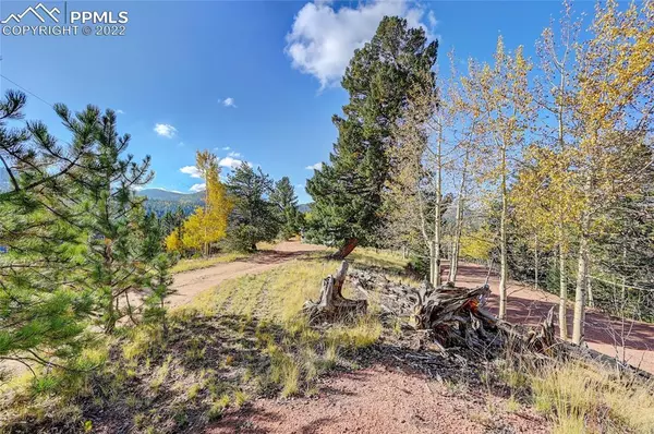 Cripple Creek, CO 80813,306 Midday CIR