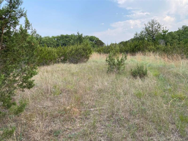 TBD County Road 2030, Glen Rose, TX 76043