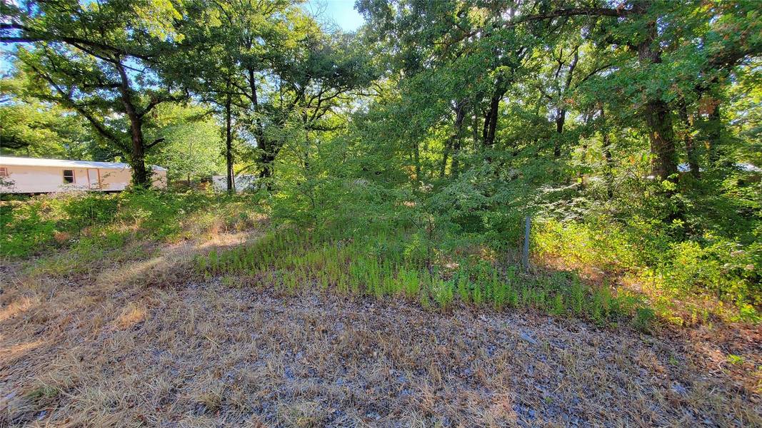 0 Mohican Trail, Mabank, TX 75156