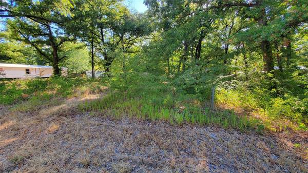 0 Mohican Trail, Mabank, TX 75156