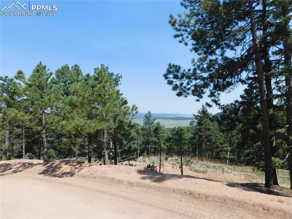 Larkspur, CO 80118,2532 Elk Park RD