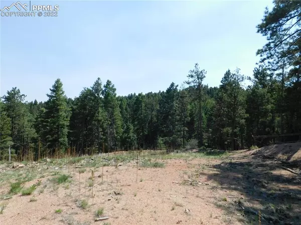 Larkspur, CO 80118,2532 Elk Park RD