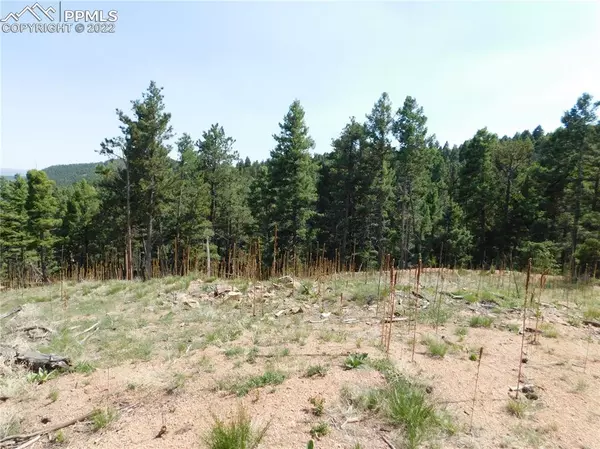 Larkspur, CO 80118,2532 Elk Park RD