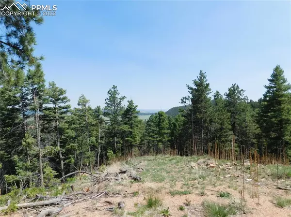 Larkspur, CO 80118,2532 Elk Park RD