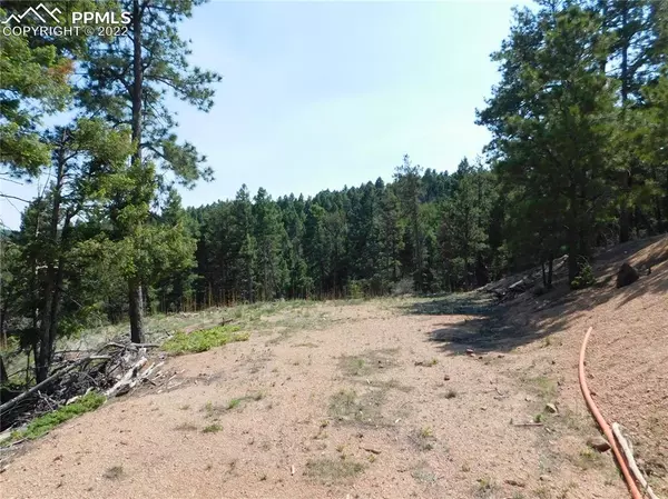 Larkspur, CO 80118,2532 Elk Park RD