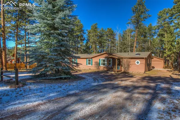 450 County RD, Woodland Park, CO 80863