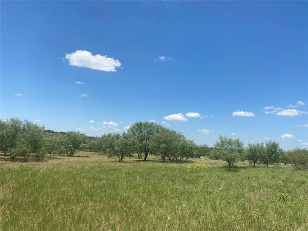 TBD County Road 442, May, TX 76471