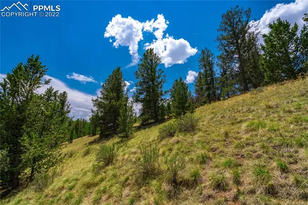 Cripple Creek, CO 80813,70 Brown Bear LN