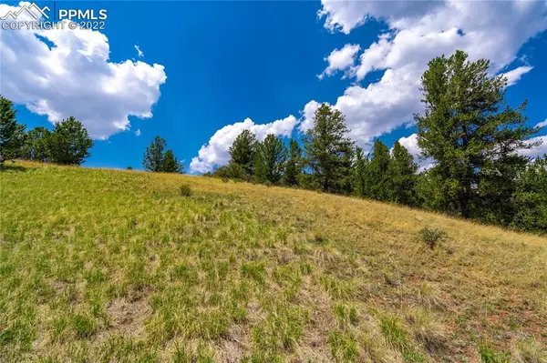 Cripple Creek, CO 80813,70 Brown Bear LN