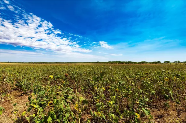 Haskell, TX 79521,600 weaver road