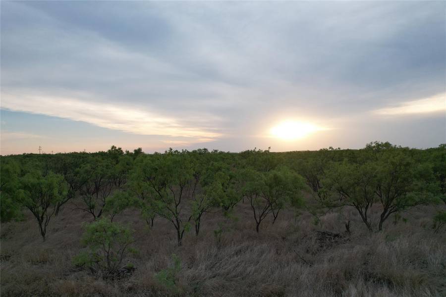 44+/- Ac CR 186, Ovalo, TX 79541