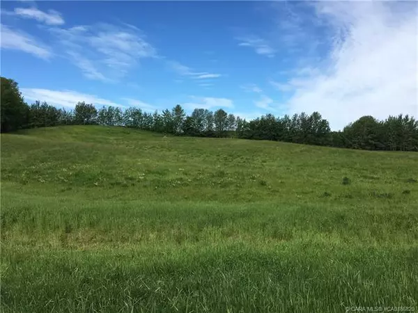 Rural Ponoka County, AB T0C 2J0,13033 Township Road 424 #Lot 9