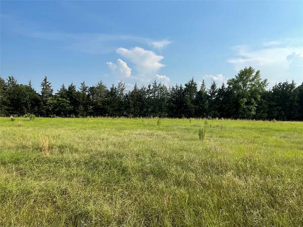 23.3 Ac County Road 3317, Omaha, TX 75571