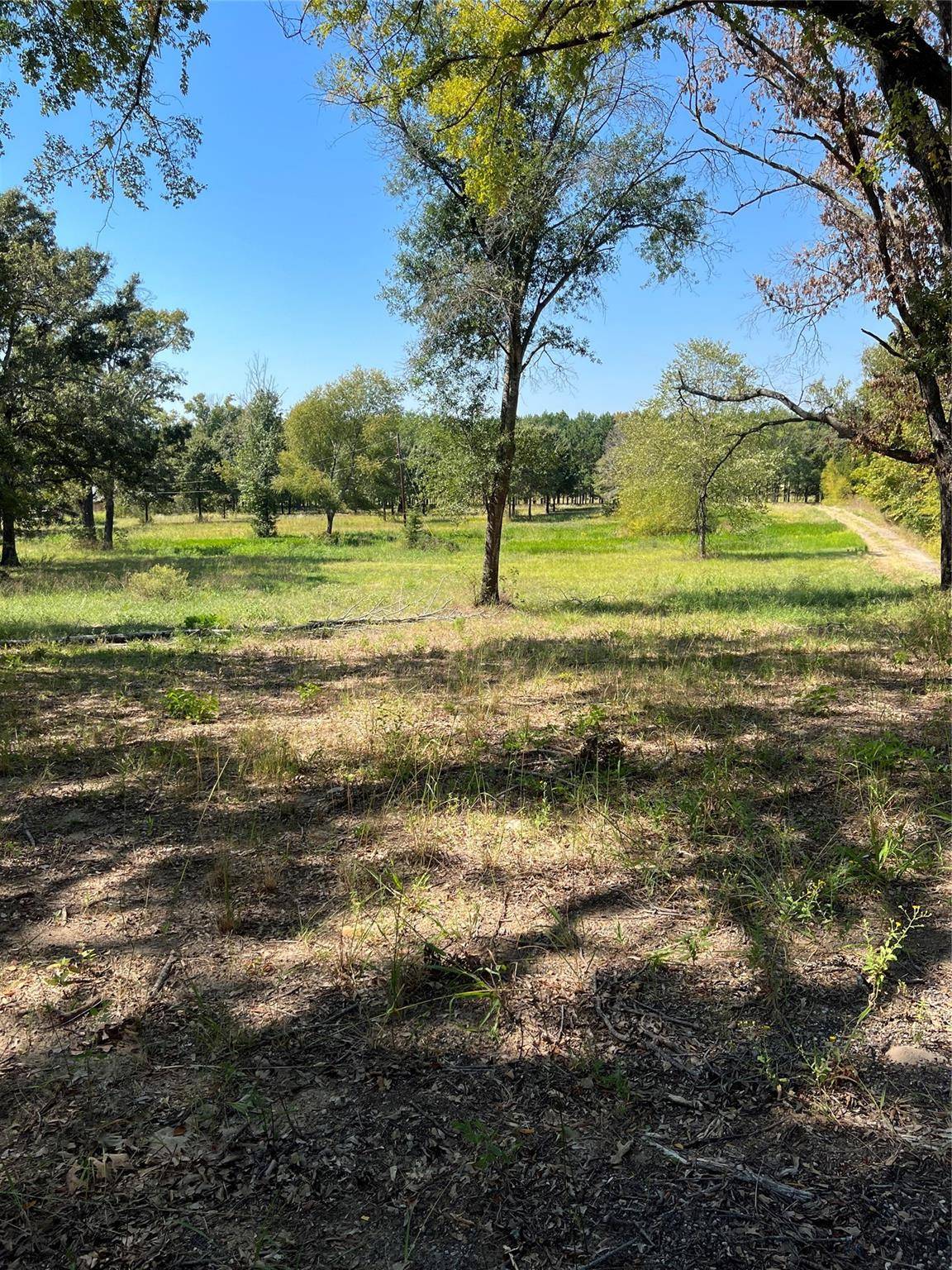 9366 County Road 3816,  Athens,  TX 75752