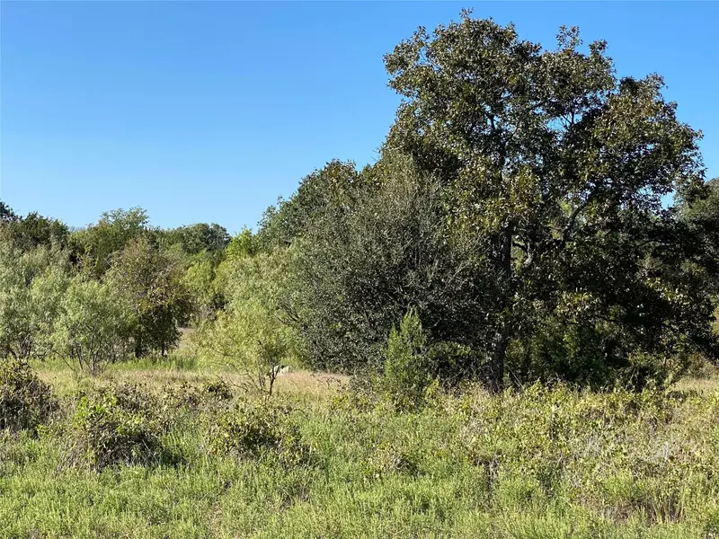 TBD PR 1472 Tract B, Hico, TX 76457