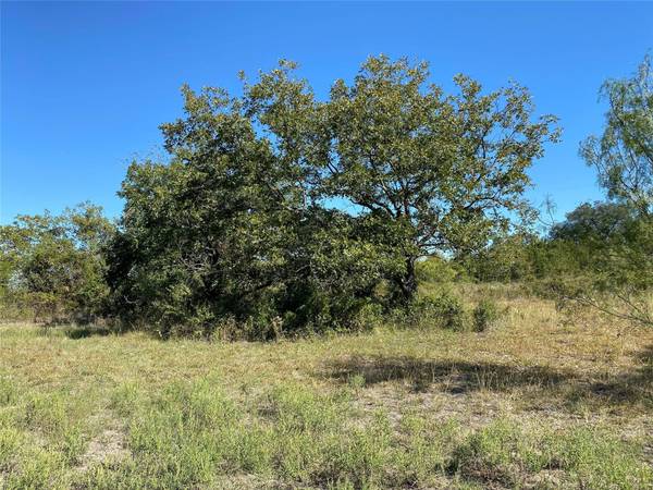 TBD PR 1472 Tract A, Hico, TX 76457