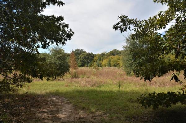 Lot 1 S ST HWY 19, Canton, TX 75103