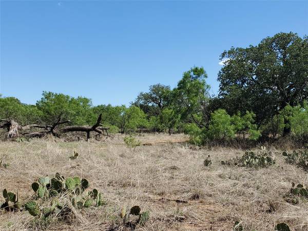 6072 County Road 266,  Richland Springs,  TX 76871