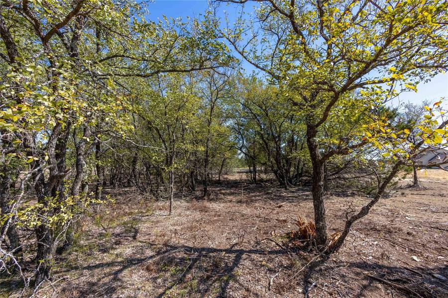 3830 Skyline Drive, Bluff Dale, TX 76433