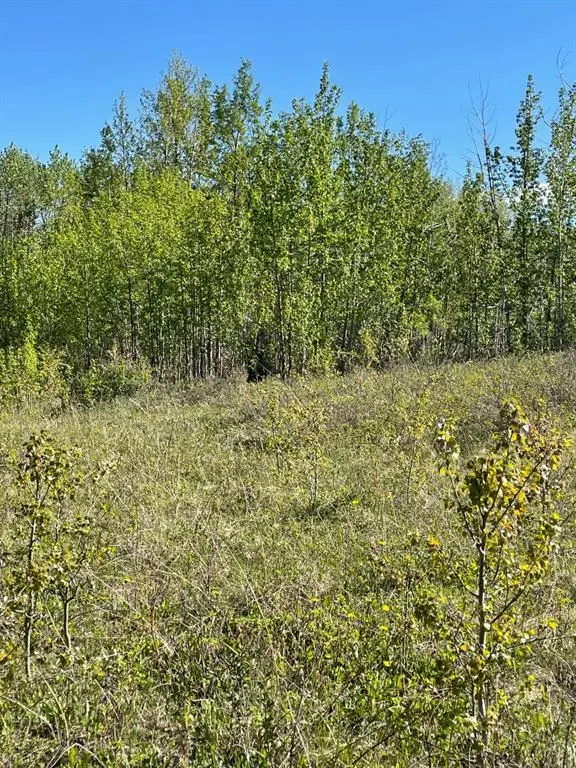 Rural Rocky View County, AB T4C 2H2,W: 5 R:3 T:26 S:3 SE Whitetail RD