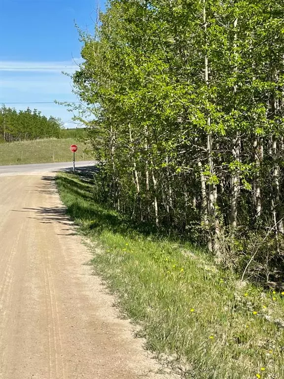 Rural Rocky View County, AB T4C 2H2,W: 5 R:3 T:26 S:3 SE Whitetail RD