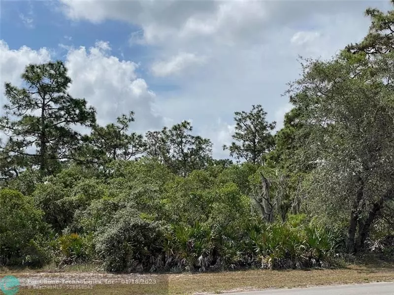 Lot 11 Deland Ave, Other City - In The State Of Florida, FL 33855