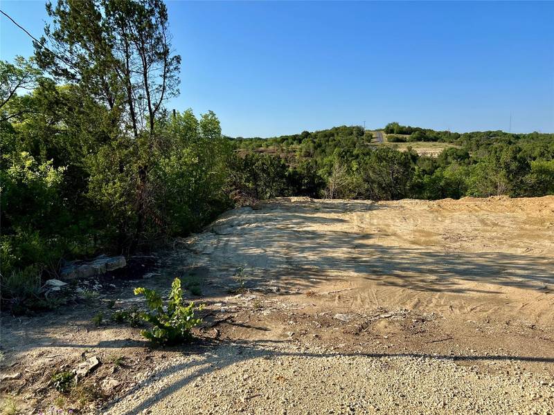 2280 Beacon Lake Drive, Bluff Dale, TX 76063