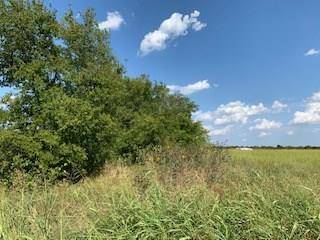 Lot 8 FM 3427, Wolfe City, TX 75496