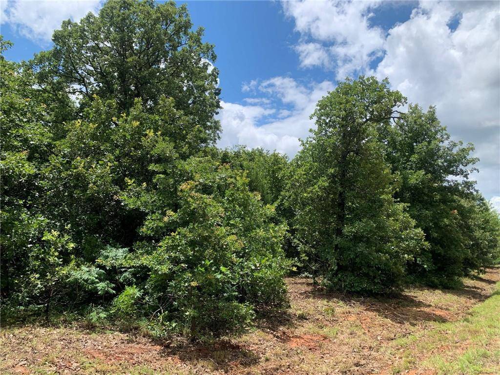 Chandler, OK 74834,910391 Oak Bend Trail Trail