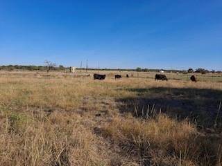 TBD High Lonesome Ridge, Graford, TX 76449