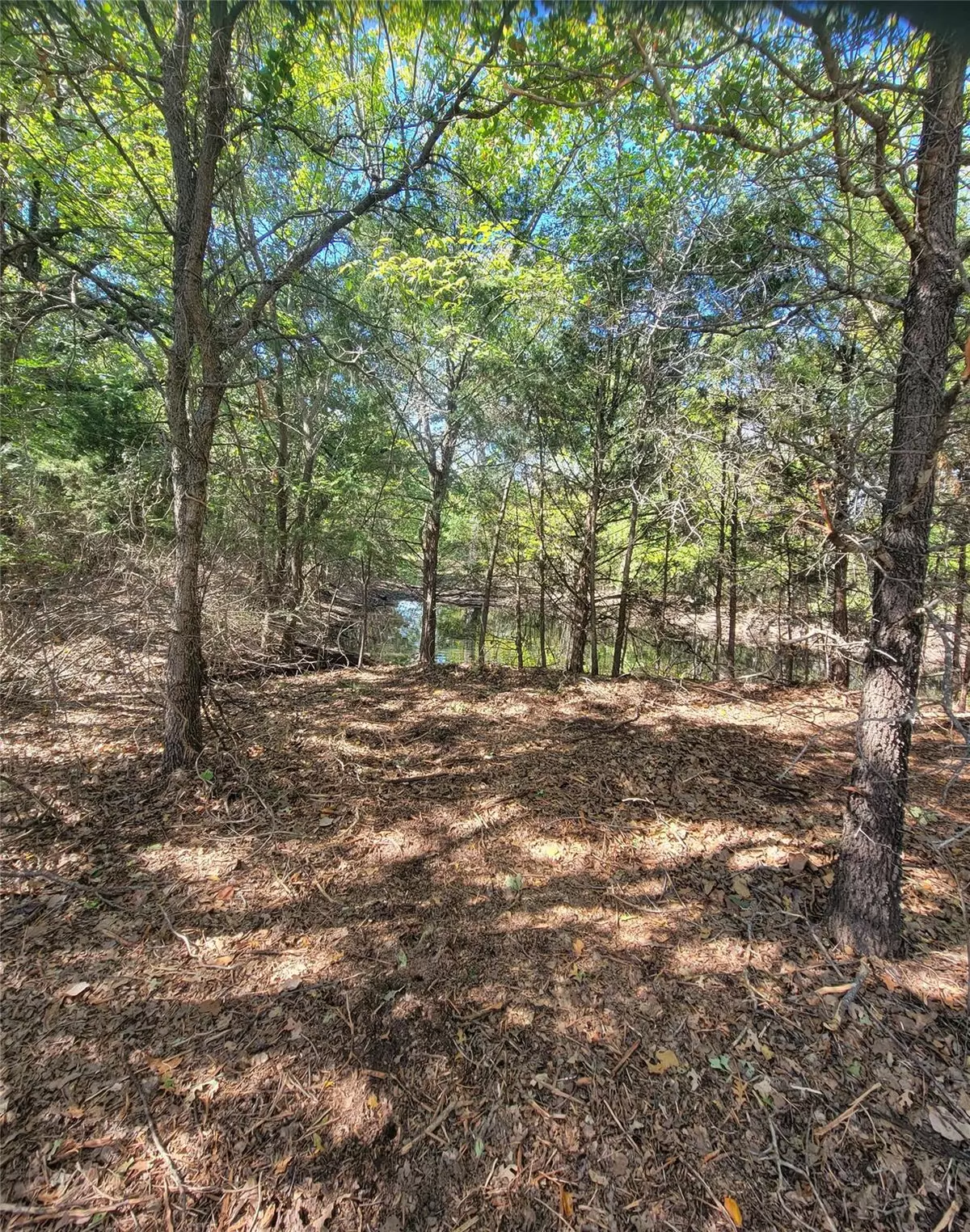 Azle, TX 76020,TBD Lot 8 Phillips Drive