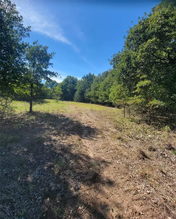 Azle, TX 76020,TBD Lot 7 Phillips Drive