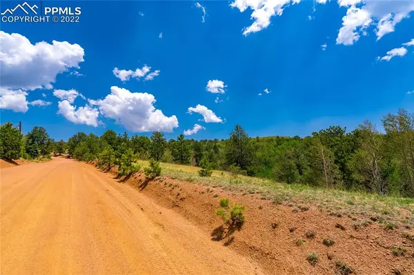 Cripple Creek, CO 80813,1944 May Queen DR